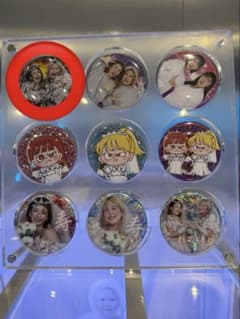 平成フラミンゴ[助け展] 缶ミラーバッジ - メルカリ