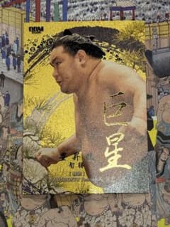大相撲 BBM 2026 SUMO CARDS インサートカード 巨星 豊昇龍 - メルカリ