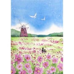 m56609673802_1.jpg?1756080002