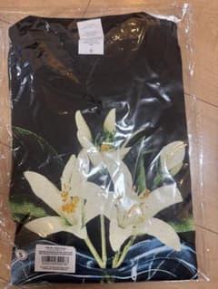 新品未開封匿名テンブランクTENBLANK ×セントマイケルコラボTシャツS