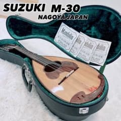 SUZUKI M-30 マンドリン ハードケース付 弦セット付 スズキ 名古屋