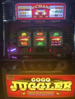 m51676959401_1.jpg?1749136048