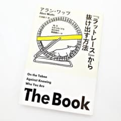 m52460542405_1.jpg?1750585545