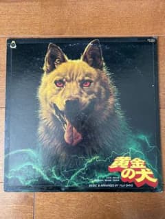 m64951172332_1.jpg?1711258435