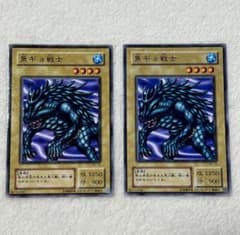 魚ギョ戦士 - メルカリ