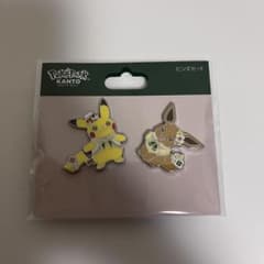 ポケパークカントー ピカチュウ・イーブイ ピンズセット - メルカリ