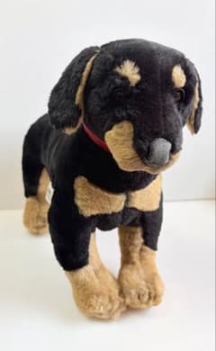 イタリア製 JOCKLINE 犬 ぬいぐるみ リアル 仔犬 タグ付き - メルカリ