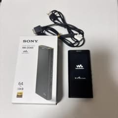 ジャンク SONY NW-ZX300 ウォークマン 64GB ソニー ブラック - メルカリ