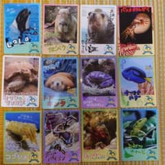 m63359916575_1.jpg?1752832765