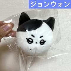 ジョンウォン ぬいぐるみ enhypen 5センチ ドール マスター - メルカリ