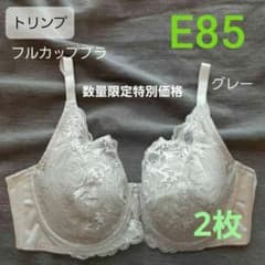トリンプ フルカップブラ E85 グレー 2枚 ブラジャー レース