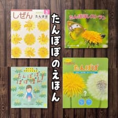 たんぽぽの絵本 キンダーブックしぜん ちいさなかがくのとも なんでも