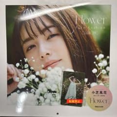 m84067503248_1.jpg?1766248218