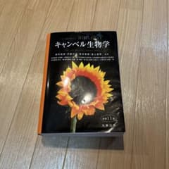 m85951470611_1.jpg?1729176901