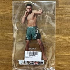 m86299918926_1.jpg?1761459313