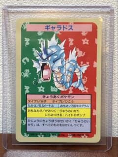 番号なし 裏青】トップサン ギャラドス - メルカリ