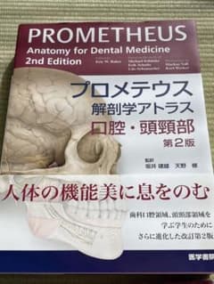 プロメテウス解剖学アトラス 口腔・頭頸部 - メルカリ
