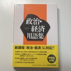 山川 新課程 政治経済 用語集 - メルカリ