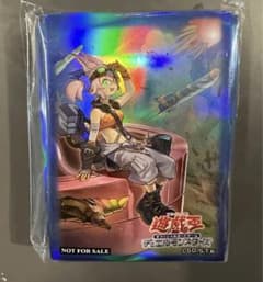 m96455248672_1.jpg?1741407002