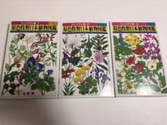 原色牧野日本植物図鑑 コンパクト版 1-3巻 - メルカリ