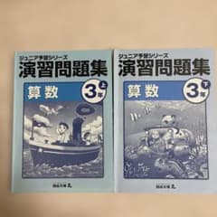 m99293343199_1.jpg?1765634986