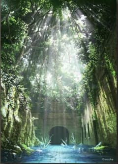 mocha 自然回帰 - メルカリ