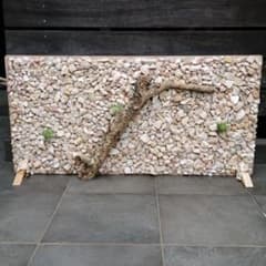 爬虫類ケージ用 バックボード - メルカリ