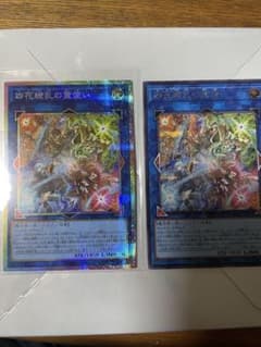 四花繚乱の霊使いプリシクセット - メルカリ