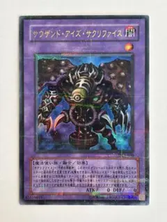 2026年最新】サクリファイス パラレル 遊戯王の人気アイテム - メルカリ