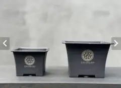 2026年最新】鶴仙園の人気アイテム - メルカリ