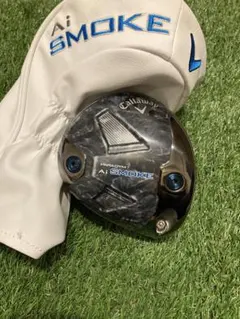 2026年最新】パラダイムAIスモーク トリプルダイヤモンド 10.5の人気