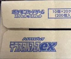 2026年最新】テラスタル カートンの人気アイテム - メルカリ