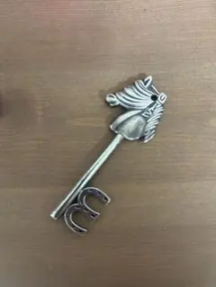 2026年最新】Night Rider アクセサリーの人気アイテム - メルカリ