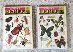 2026年最新】原色日本甲虫図鑑の人気アイテム - メルカリ