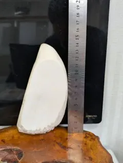 2026年最新】鯨歯 印材の人気アイテム - メルカリ
