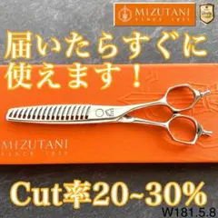 2026年最新】ミズタニシザーの人気アイテム - メルカリ
