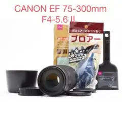 2026年最新】canon 75-300 4-5.6 IIの人気アイテム - メルカリ