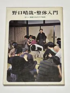 2026年最新】野口晴哉 愉気法2の人気アイテム - メルカリ