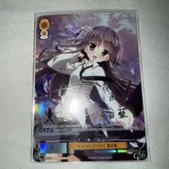 2026年最新】その手に引かれて 夏目藍 SSPの人気アイテム - メルカリ