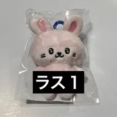 2026年最新】ウニョクぬいぐるみの人気アイテム - メルカリ