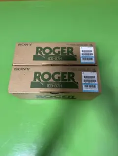 2026年最新】SONY ICB 87の人気アイテム - メルカリ