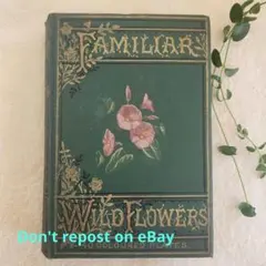 2026年最新】familiar wild flowersの人気アイテム - メルカリ