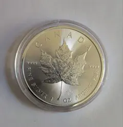 2026年最新】メイプルリーフ銀貨 2021の人気アイテム - メルカリ