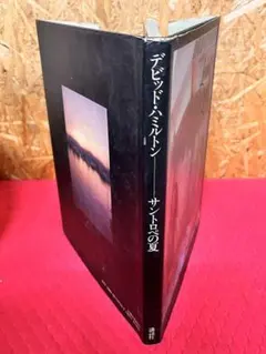 2026年最新】DAVID hamiltonの人気アイテム - メルカリ