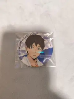 2026年最新】ハイキュー 極楽湯 缶バッジ 影山飛雄の人気アイテム