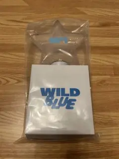 2026年最新】WILDBLUE ペンライトの人気アイテム - メルカリ