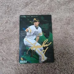 2026年最新】柴田善臣 サインの人気アイテム - メルカリ