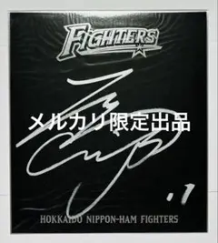 m12495135816_1.jpg?1772134502