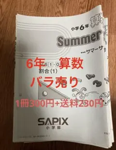 2026年最新】サマーサピックスの人気アイテム - メルカリ