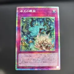 2026年最新】命王の螺旋の人気アイテム - メルカリ